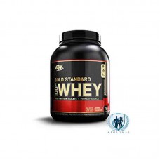 ON Gold Standard 100% Whey